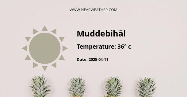 Weather in Muddebihāl