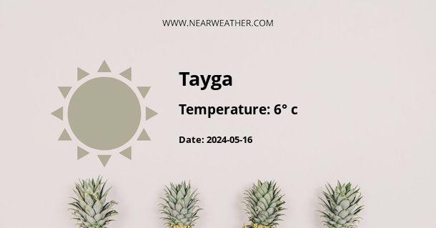 Weather in Tayga