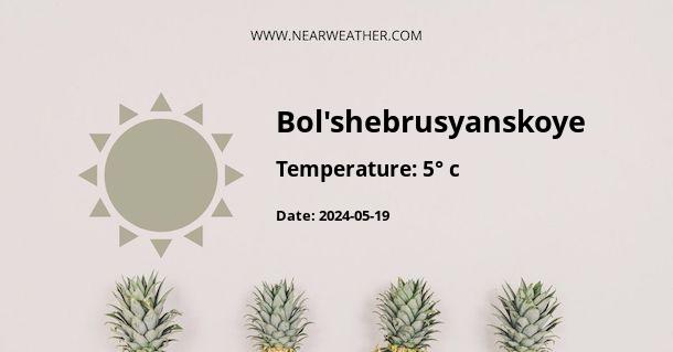 Weather in Bol'shebrusyanskoye