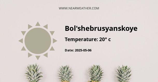 Weather in Bol'shebrusyanskoye