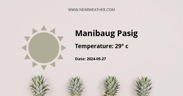 Weather in Manibaug Pasig