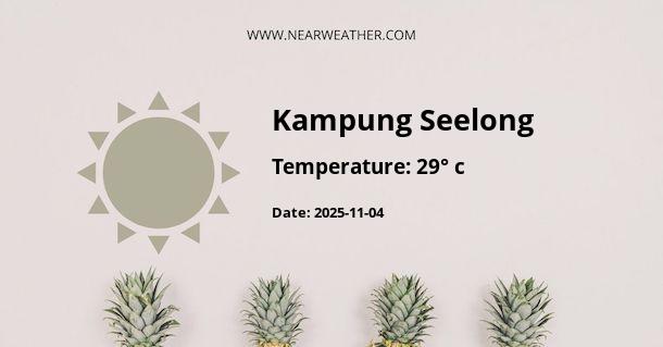 Weather in Kampung Seelong