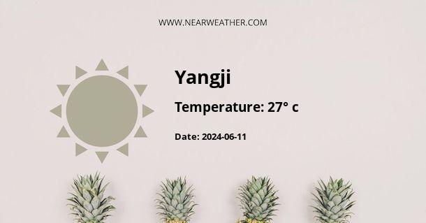 Weather in Yangji