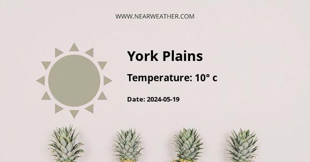 Weather in York Plains