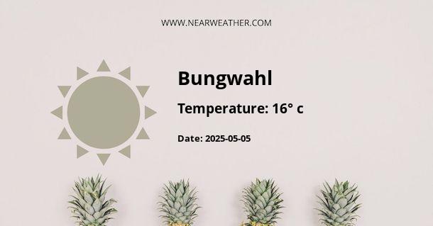 Weather in Bungwahl