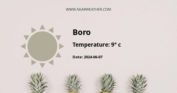 Weather in Boro