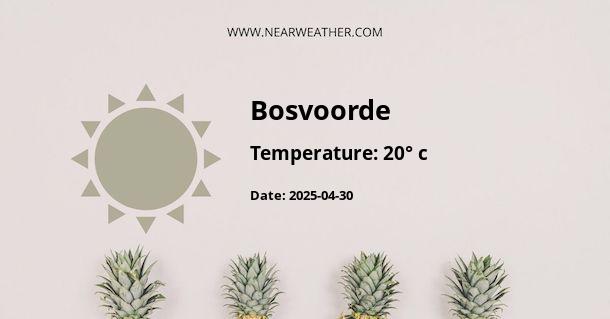 Weather in Bosvoorde