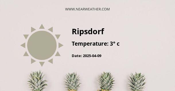 Weather in Ripsdorf