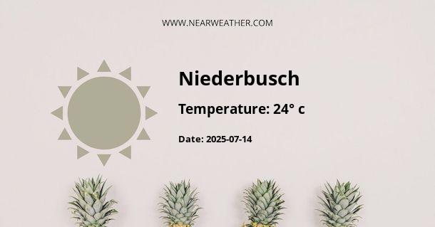 Weather in Niederbusch