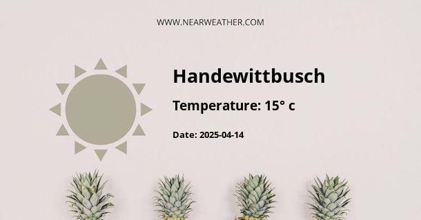 Weather in Handewittbusch