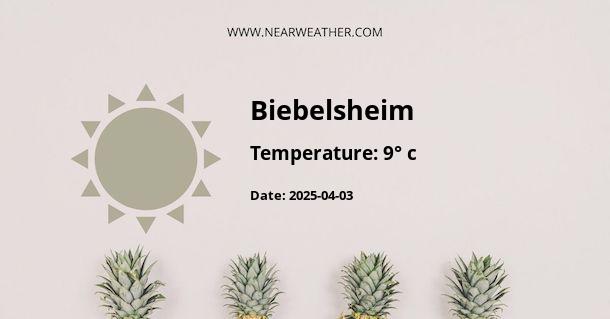 Weather in Biebelsheim