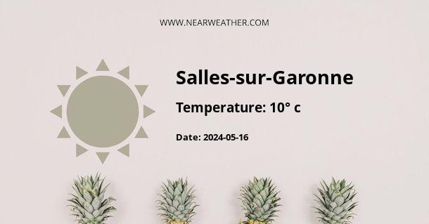 Weather in Salles-sur-Garonne
