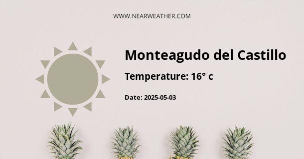 Weather in Monteagudo del Castillo