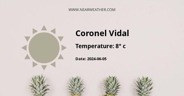 Weather in Coronel Vidal