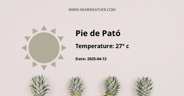 Weather in Pie de Pató