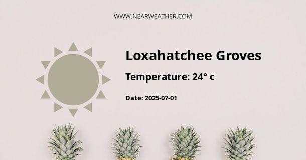 Weather in Loxahatchee Groves