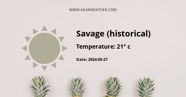 Weather in Savage (historical)