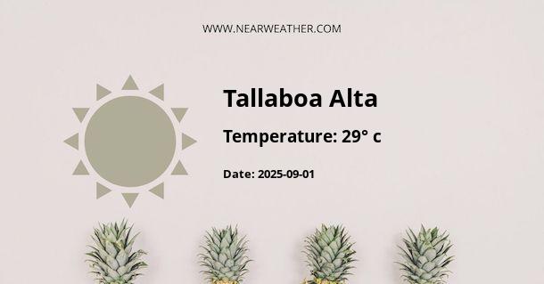 Weather in Tallaboa Alta