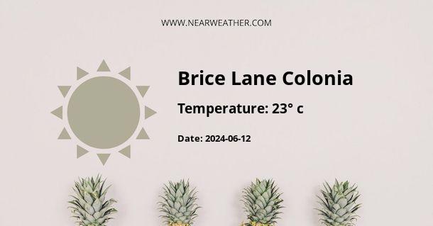 Weather in Brice Lane Colonia
