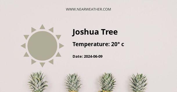 Weather in Joshua Tree
