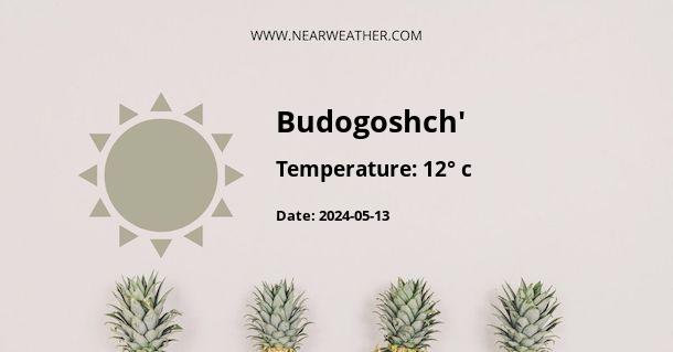 Weather in Budogoshch'
