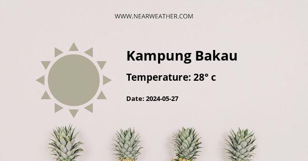 Weather in Kampung Bakau