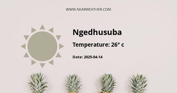 Weather in Ngedhusuba