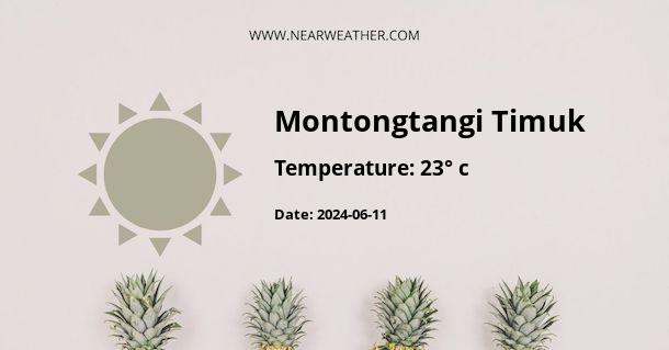 Weather in Montongtangi Timuk