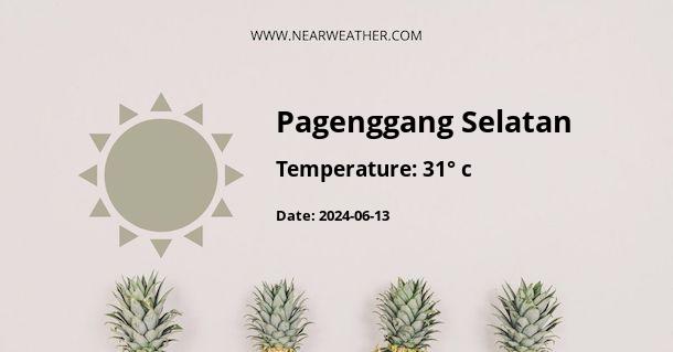 Weather in Pagenggang Selatan